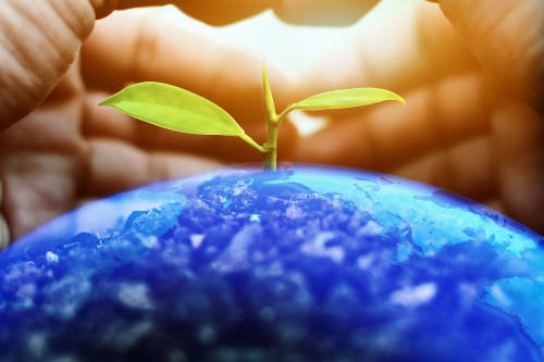 Economía verde: un modelo para la reactivación económica post pandemia