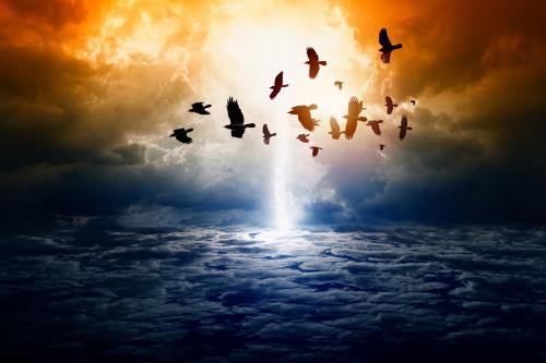 Fin del mundo Fin del mundo