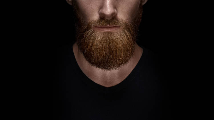 barba hombre barba hombre