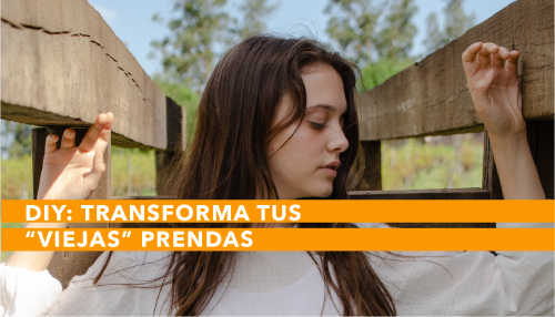 bioguia_diytrans@1.5x bioguia_diytrans@1.5x