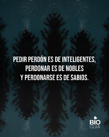 Frases para web (41) Frases para web (41)