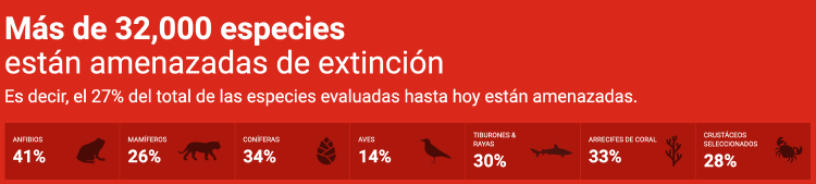 ONU ESPECIES EN EXTINCION