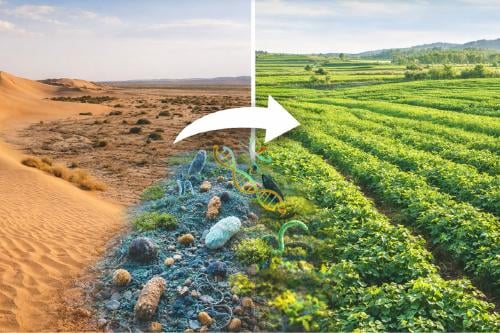 fertilizar Imagen: IA