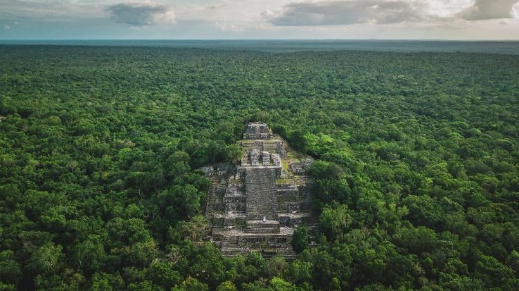 Calakmul Calakmul