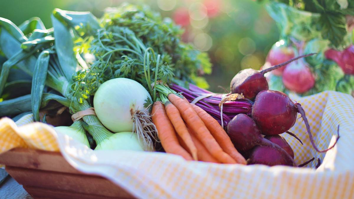 verduras y vegetales en una canasta