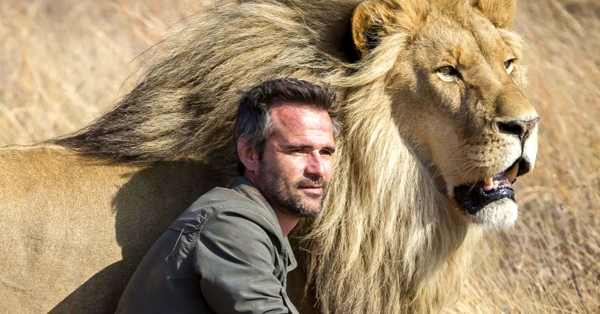 mascota es un leon historia amistad mascota es un leon historia amistad