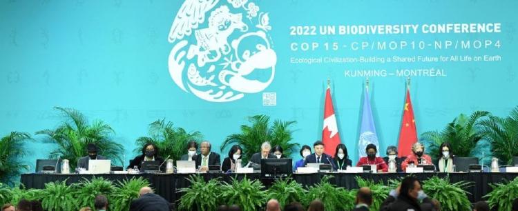 111737872 f4c11f82 0fae 4f20 a39c 0b06ad2d9956 111737872 f4c11f82 0fae 4f20 a39c 0b06ad2d9956