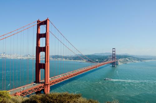 Las aves de San Francisco cambiaron su canto durante la pandemia