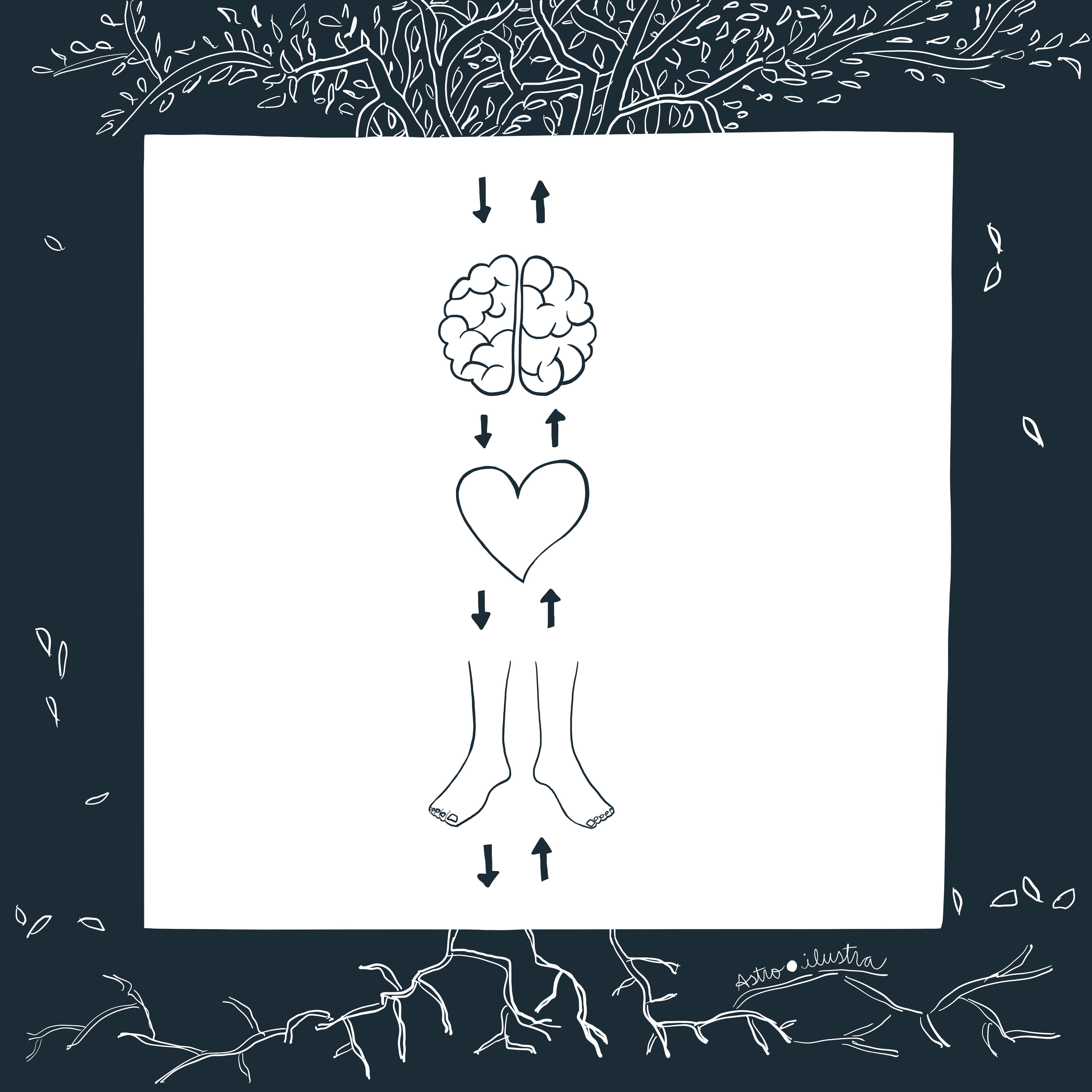 astroilustra astroilustra