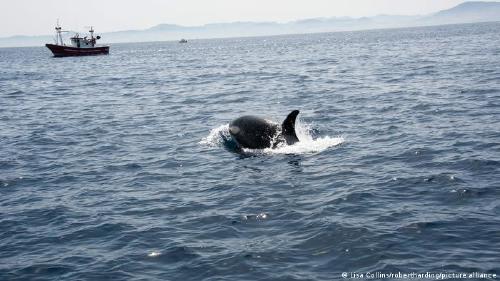 67345035_303 67345035_303