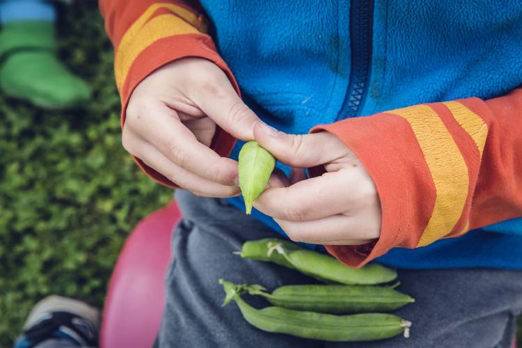 conoce las 4 razones para basar tu dieta en verduras