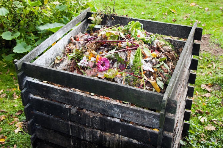 Residuos orgánicos en una compostera