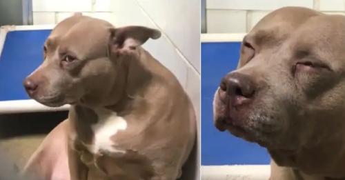 Proyecto nuevo (3) Proyecto nuevo (3)