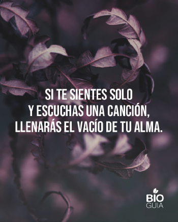 Frases para web (7) Frases para web (7)