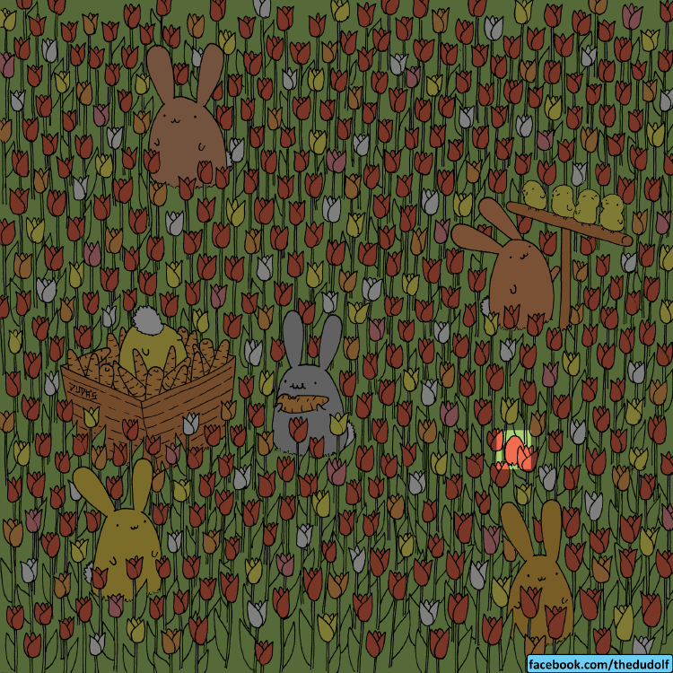 Solucion acertijo Solucion acertijo