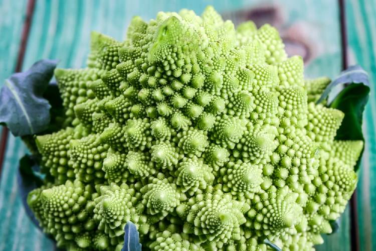 brecol romanesco