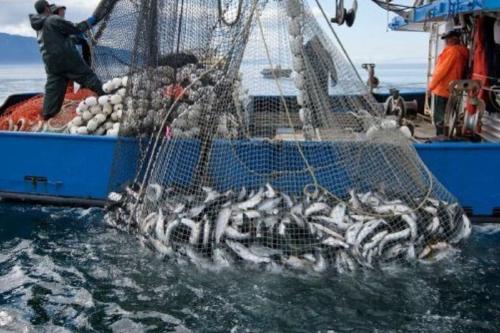 redes pesca redes pesca