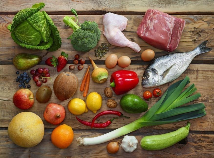Paleo Paleo