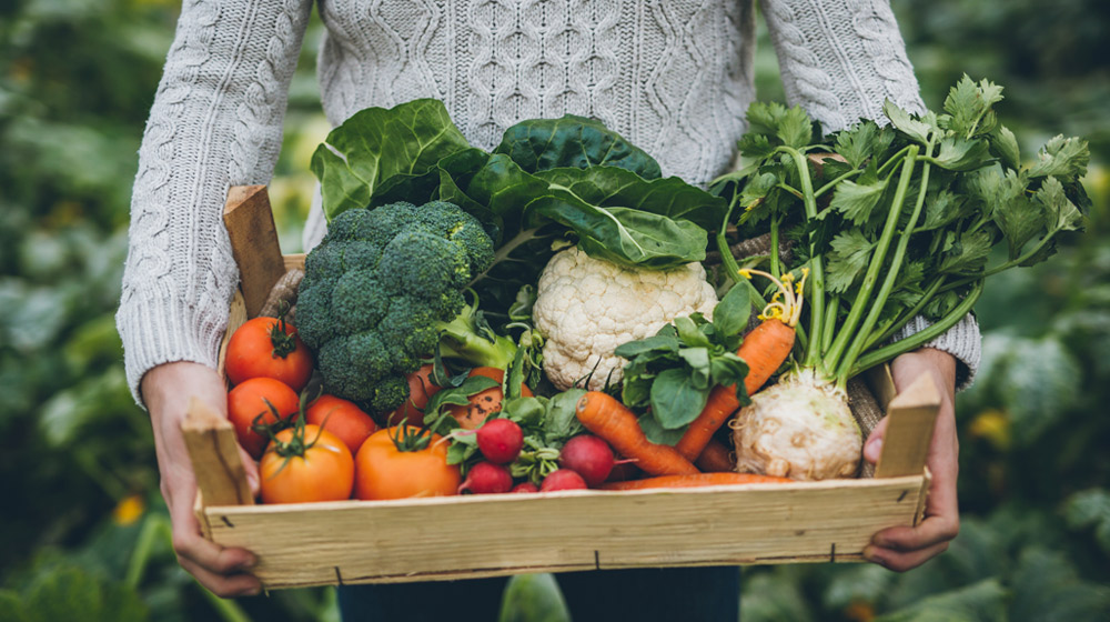 verduras agroecológicas