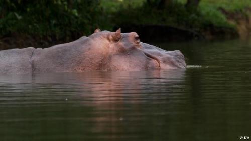 60617794_303 60617794_303