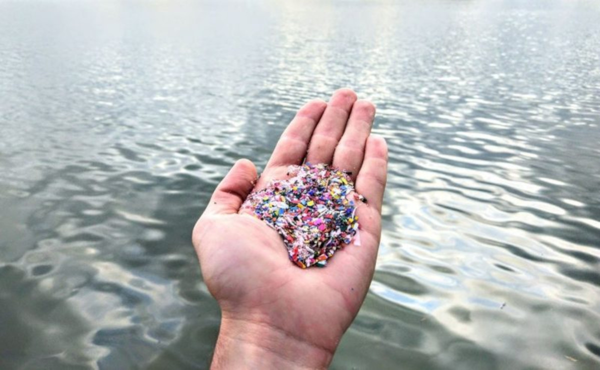 microplasticos microplasticos