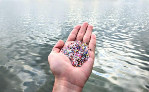 microplasticos microplasticos