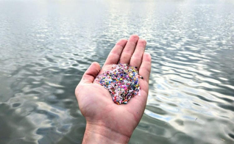 microplasticos microplasticos