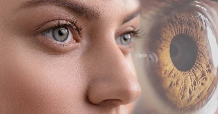 daltonismo daltonismo