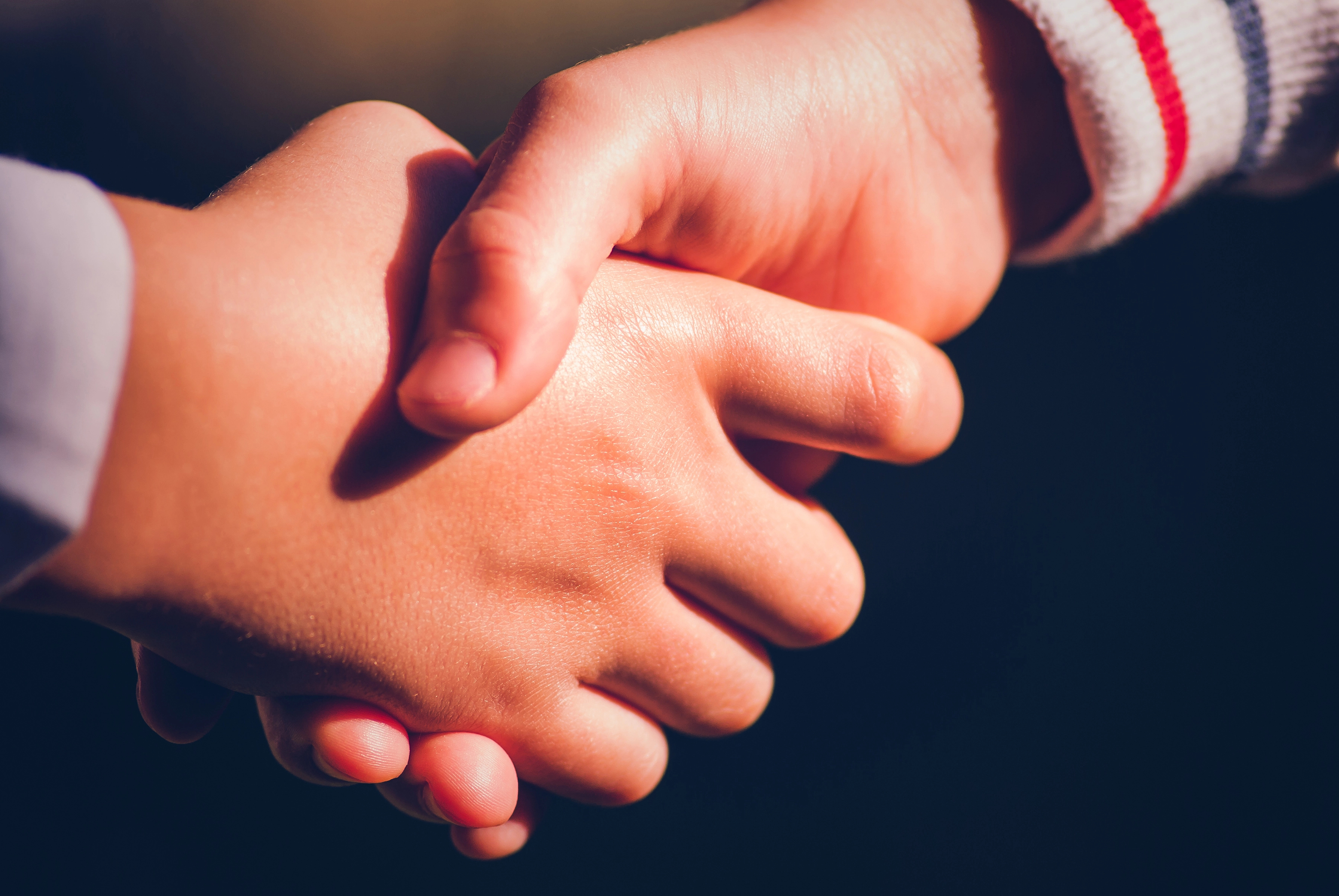 Conexiones sensoriales Conexiones sensoriales