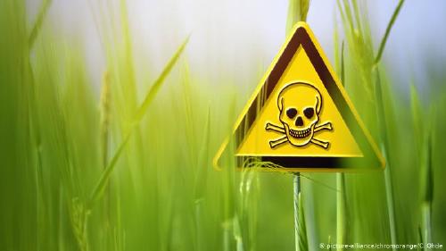 pesticidas pesticidas