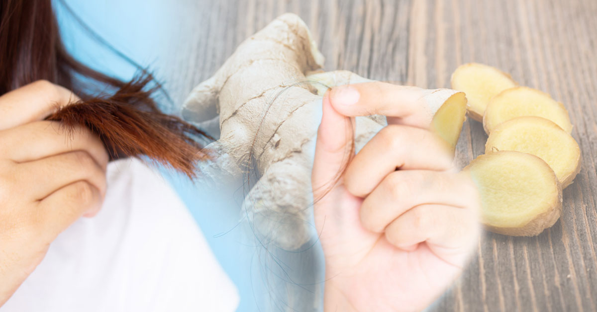 Así puedes recuperar tu cabello con jengibre si se te cae por estrés Así puedes recuperar tu cabello con jengibre si se te cae por estrés