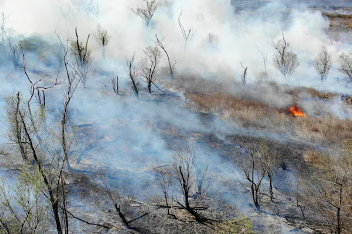 incendio entre rios La provincia de Entre Ríos, castigada por incendios forestales en 2022, también figura en la lista de las ciudades que sufriría los efectos del aumento del nivel del mar (Reuters)