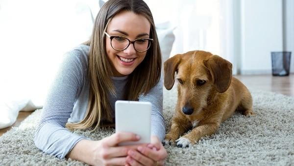 El estudio sugiere que muchas personas experimentan un apego significativo a sus mascotas / animales El estudio sugiere que muchas personas experimentan un apego significativo a sus mascotas / animales
