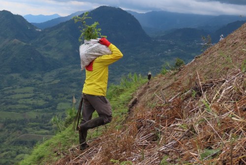 IMG_2274 1536x1152 IMG_2274 1536x1152