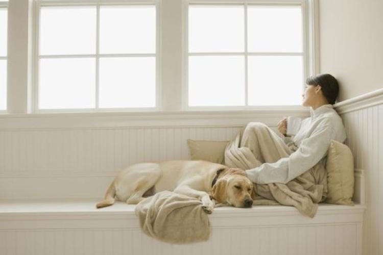 Perros de apoyo emocional Perros de apoyo emocional (Foto:Pinterest)