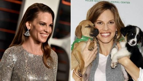 _portada bioguia (7) _portada bioguia (7)