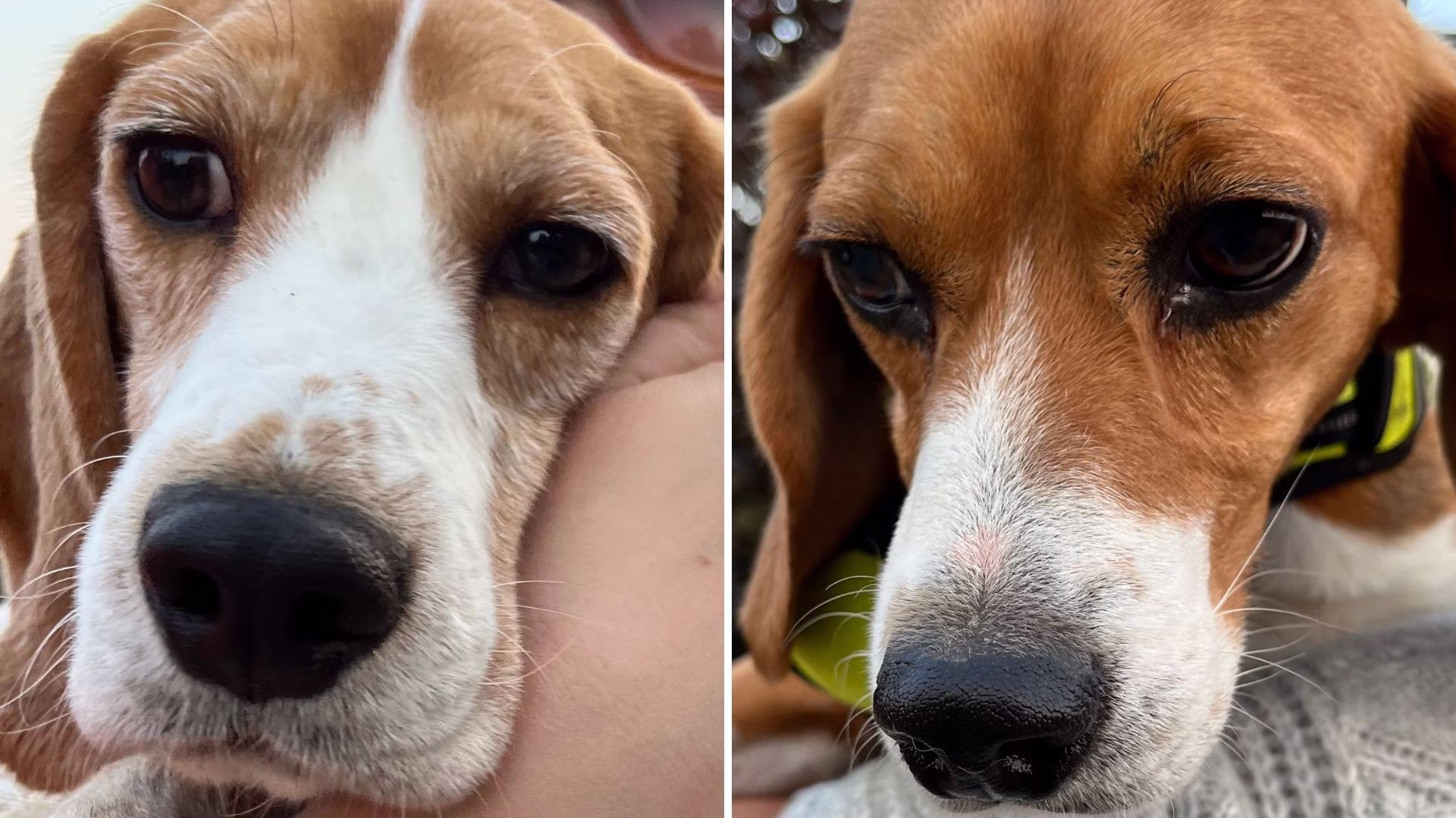 LGNGC6UH4RD2PFRQNMDQORGUSY LGNGC6UH4RD2PFRQNMDQORGUSY