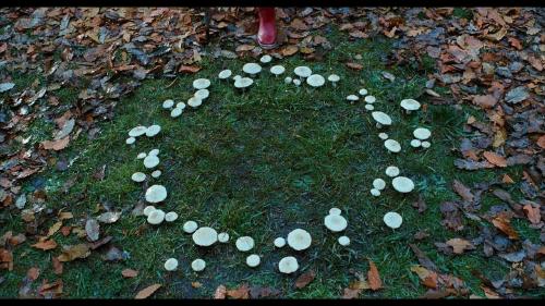 maxresdefault maxresdefault