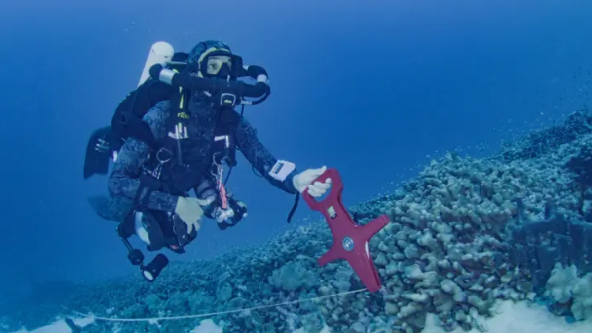 Manu San Félix, National Geographic Pristine Seas