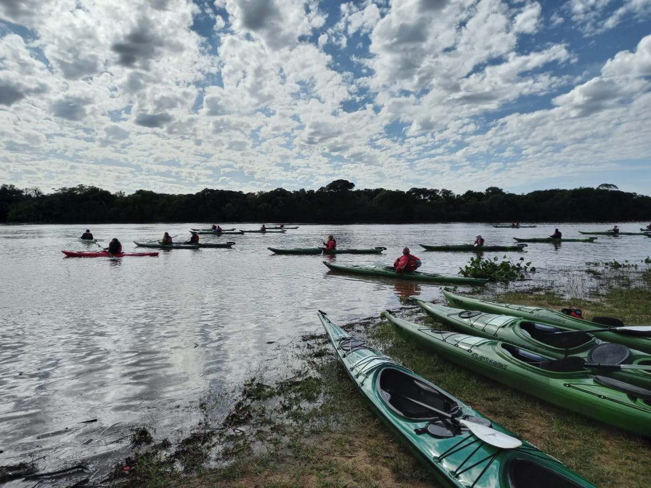 Kayak