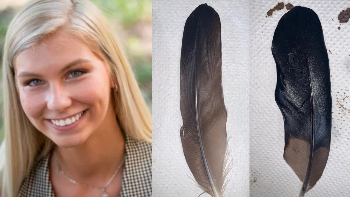 1200x675 php49fatK 1200x675 php49fatK