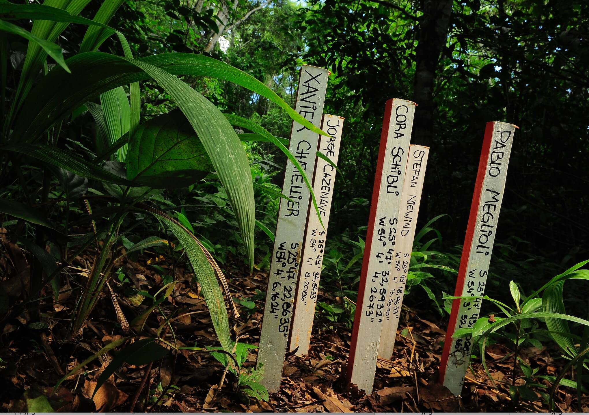 Captura_de_Pantalla_2020-11-25_a_la(s)_11.20.43 Captura_de_Pantalla_2020-11-25_a_la(s)_11.20.43