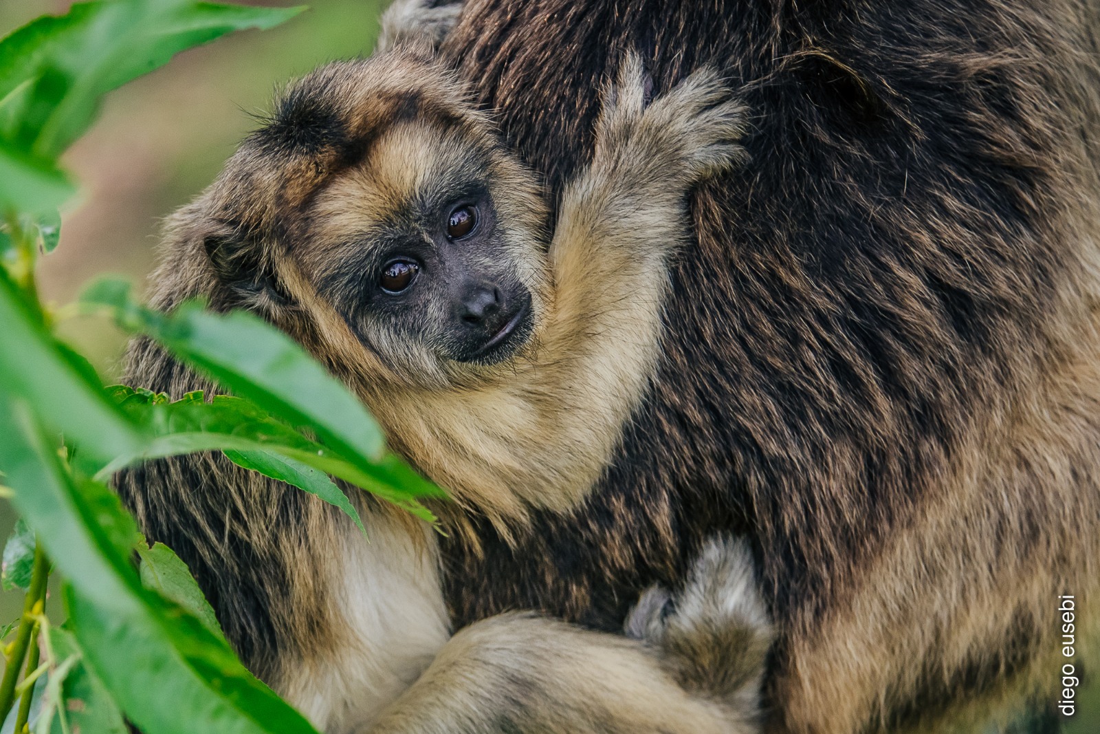 IMG 20230127 WA0081 IMG 20230127 WA0081