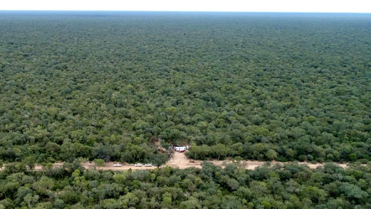 BOSQUE CHAQUEÑO ARGENTINA