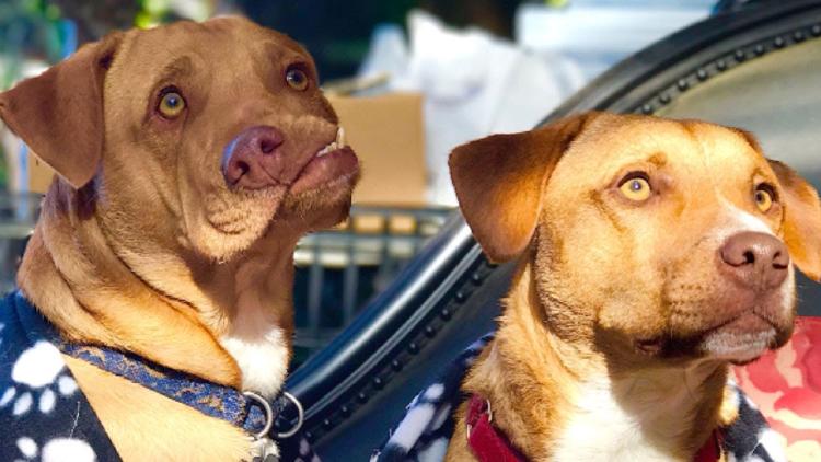 Picasso y Pablo Picasso y Pablo