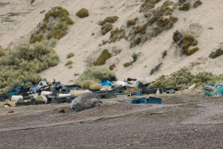 MM 230410 Valdes 332 MM 230410 Valdes 332