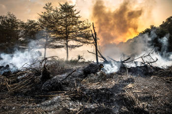 incendio forestal