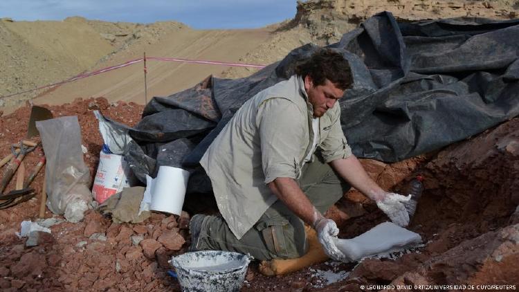 Paleontólogos Mendoza Un aspecto que se destaca en \"Thanatosdrakon\" es el tamaño de sus huesos.