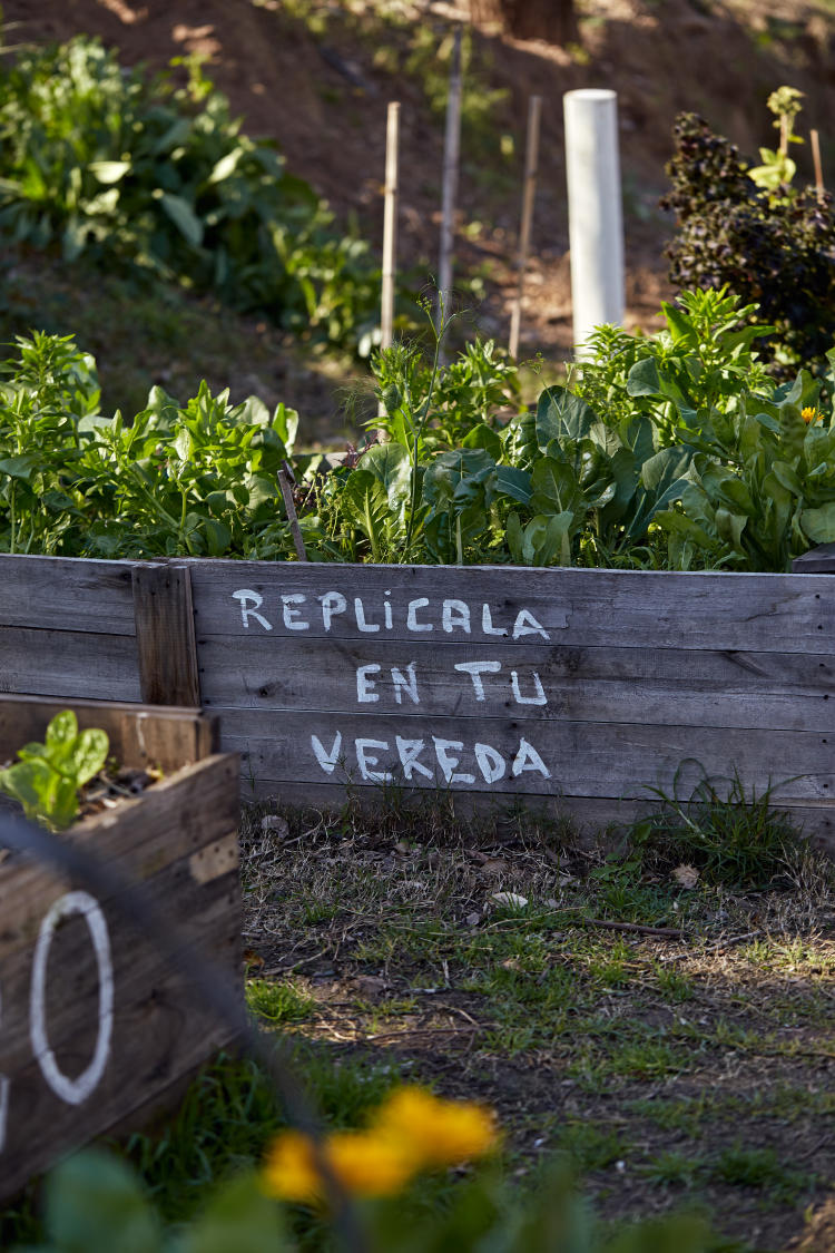 Replica en tu vereda