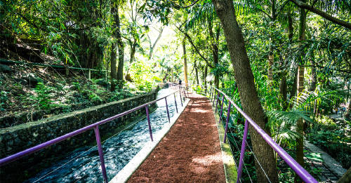 El Bosque de Chapultepec fue declarado el mejor parque urbano del mundo